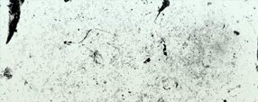 Brush photoshop Dirt Brushes Hi-Res