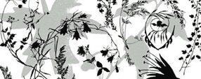 Brush photoshop Plant Brushes