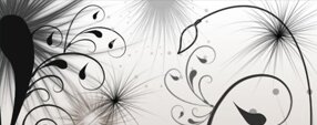 Brush photoshop Swirls and Seeds Brushes