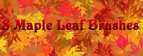 Brush photoshop 8 Large Maple Leaf Brushes