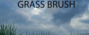 Brush photoshop GRASS BRUSH