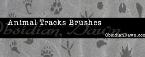 Brush photoshop Animal Tracks