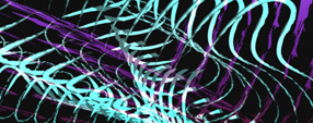 Brush photoshop Blended Lines