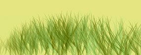 Brush photoshop Free PS Grass Brushes